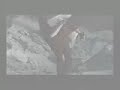 ultimate dmc 3 combo video