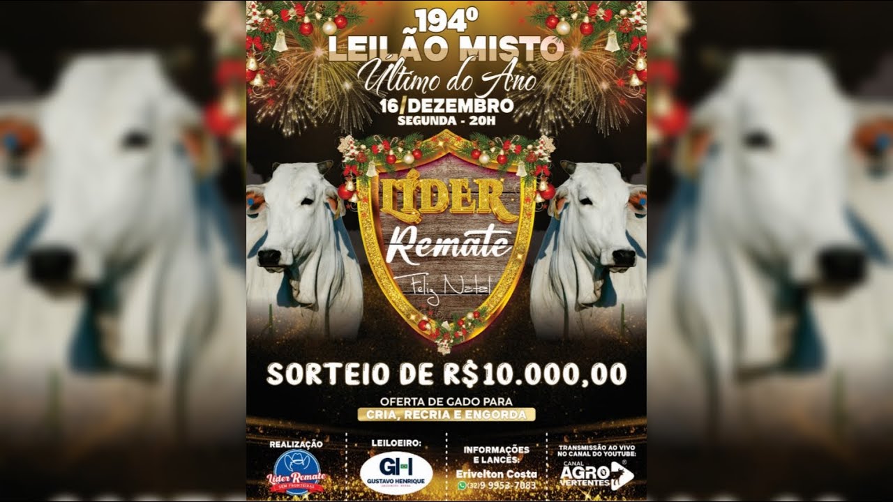 194º LEILÃO MISTO LÍDER REMATE - 16/12/2024