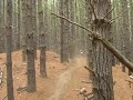 Gas Gas 300 Demo Ride