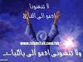 قارئ مصرى