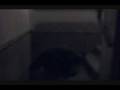 videos de post thanksgiving FRIDAYeve stair throw