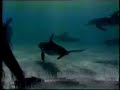Dise�o en la naturaleza. energ�a