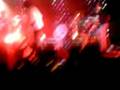 Foals - Red Sox Pugie