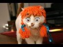 Kookie Kat\