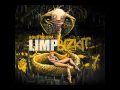 Limp Bizkit - Why Try (full song) 2010