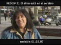 el alma está en el cerebro