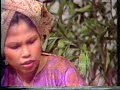 apo kono eh jang