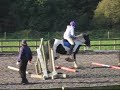 Crazy Cobs!