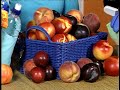 Lifestyle Expert Gives Mom-to-Mom Ideas for Summer Wellness Wellness and Lifestyle