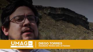 Avistamiento de aves y turismo sustentable en la Patagonia chilena