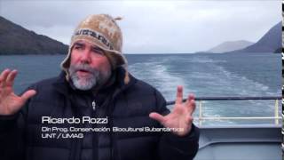 PROMO Cabo de Hornos 2015 - La joya del fin del mundo