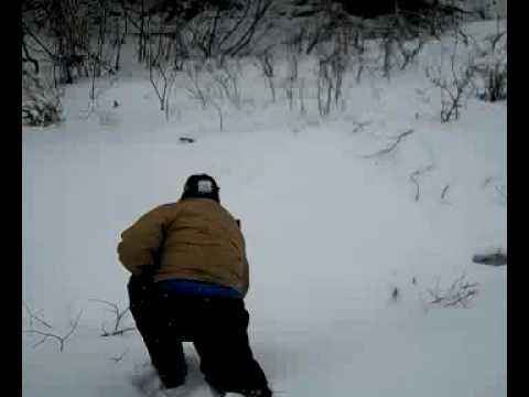 View Video