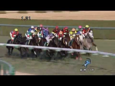 2011年 ラジオNIKKEI杯2歳ステークス アダムスピーク