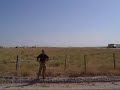 harrier flyover