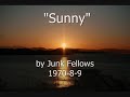 Bobby Hebb - Sunny (Junk Fellows Cover)