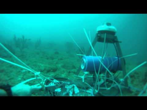 AWAC Deployment Video
