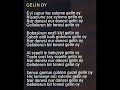 Erdal Bayrakoglu - Gelin Oy