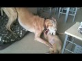 See video