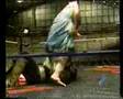 Tenchis Luchadora
