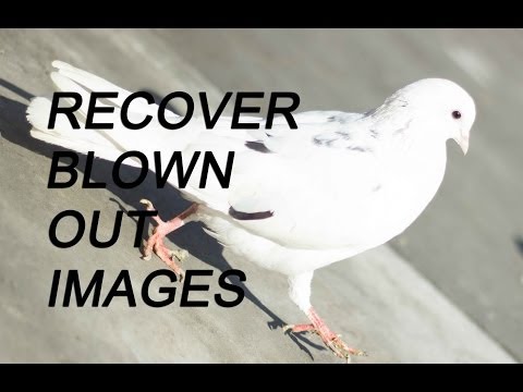 how to recover edited picture