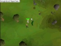 How tu lure a flax autoer