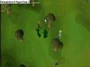 How tu lure a flax autoer
