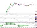Cowabunga Forex Trading System - Update for 01/07/09