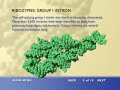 RNAi