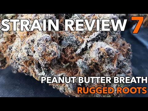 video-linktoworks-PEANUT BUTTER BREATH STRAIN REVIEW 7 [ GROWERS ONLY CO...