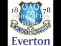 Everton Football Club (a tribute to greatness)