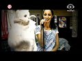 musiq1 showreel