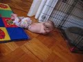 Belly-scooting and Crate-opening