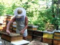 Bienenwerkstatt Bienenwerkstatt