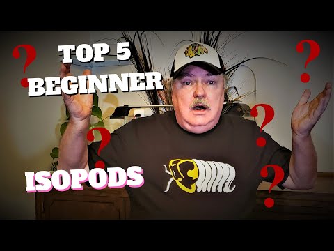 YouTube reptile video