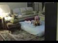 videos de Annie and Mimi in Houston