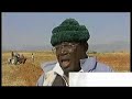 Drought is devastating the tiny nation of Lesotho where half a million people are facing starvation. Many are being forced to trek many kilometres to try and find drinking water. Gladys Njoroge reports.