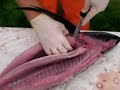 Tuna Cleaning 102 Tuna Cleaning 102