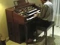 Ayura- Organo D85