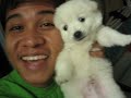 my dog in korea:) HAJIE