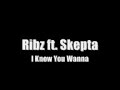 Ribz ft. Skepta - I Know You Wanna