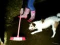 amber and michaela mad dog with broom at taylors stables amber and michaela mad dog with broom at taylors stables