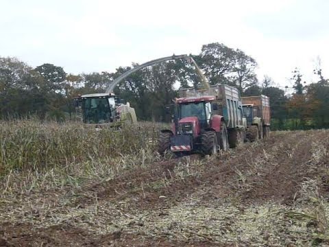 ensilage - ensilage qui coule un peu et n'oublier pas de vous abonner a ma chaine.