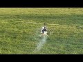 Heli Thunder Tiger Raptor 50 V2