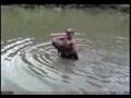 Manly Catfishing