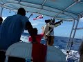 \"r\" rated Marlin video (bad language)!!