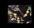 Pearl Jam - Porch, St Petersburg FL 3/29/94