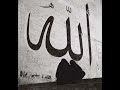 ara g�ler/fikret otyam/nazan tuna/ m�zik:aynur do?an ?iir:mar?na tsvetayeva
