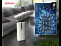 Sharp Air Purifier with Plasmacluster technology