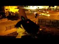 don lobo bailarín don lobo bailarín