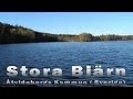 Stora Bjarn